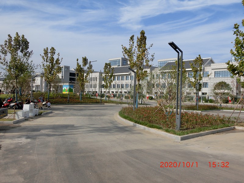 鹽龍?bào)w育公園停車場(chǎng)景觀燈